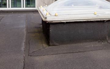 disadvantages of Malleny Mills flat roofs